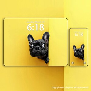 Black French Bulldog Iphone Wallpaper Custom Pet Personalized Wallpaper, Puppy iPad Wallpapers, Dog Tablet Wallpaper, Cat screen wallpaper