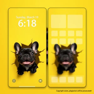 Black French Bulldog Iphone Wallpaper Custom Pet Phone Background, Personalized Tablet Wallpaper, Dog iPad Wallpaper, Background Wallpaper