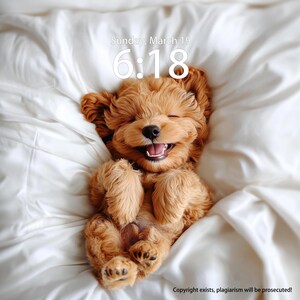 Custom IPhone Wallpaper, A teddy bear lying comfortably Wallpaper, Creative Wallpaper, Computer Wallpaper, iPad Wallpaper, Cat Pet Wallpaper