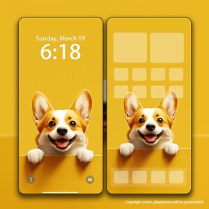 Puppy Custom Iphone Wallpaper personalized, A Cute Corgi Tablet Wallpaper, iPad Wallpaper, Cat And Dog iPhone Background Wallpaper