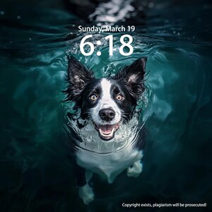 IPhone Wallpaper, Custom Dog Swim Wallpaper, Creative Wallpaper, Smartphone Wallpaper, Computer Wallpaper, iPad Wallpaper, Cat Pet Wallpaper