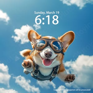Personalized Iphone Wallpaper Skydiving Corgi Dog Custom Unique Puppy Laptop Background Cat Wallpaper For IPad and Desktop Pet Wallpaper