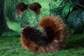 Faux fur shepherd dog tail and ear set Shiba Inu dog ear and tail anime cosplay brown coffee therian puppy ear tail puppy girl kemonomimi