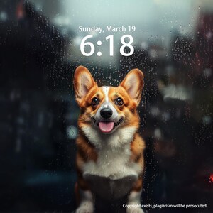 Puppy Iphone Wallpaper Custom, Personalized Tablet Wallpaper, Pet iPad Wallpaper, Corgi In Front Of The Rainy Window Background Wallpaper