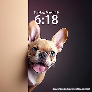 French Bulldog Probe, Custom Puppy Iphone Wallpaper, Tablet Wallpaper, iPad Wallpaper, Cat Wallpaper, Dog Lover Pet Desktop Wallpapers