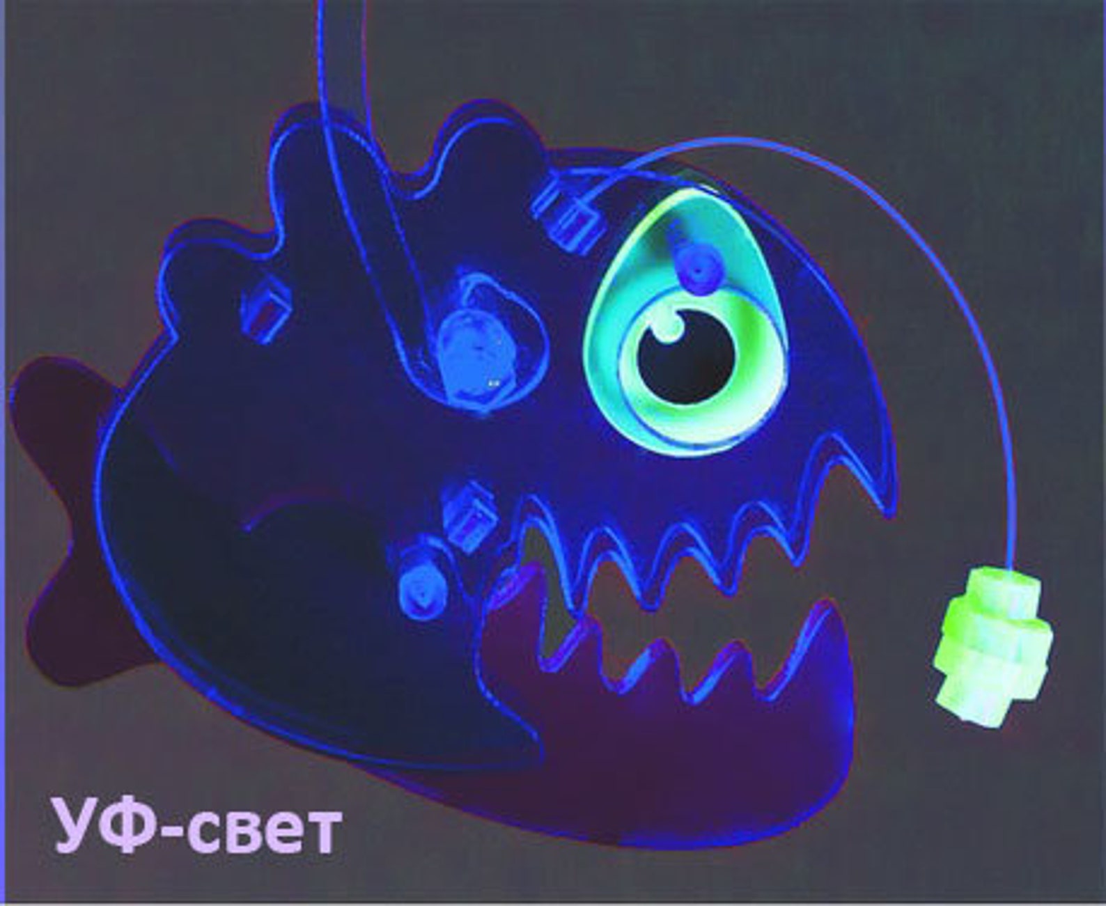 Violet Purple Angler Fish Dynamic toy / Antistress / room Etsy