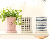 Stylish Pink and Champagne Ceramic Planter with a Tray, Minimalist Planter, Scandinavian Cactus Planter Pot, Haworthia Modern Planter Indoor