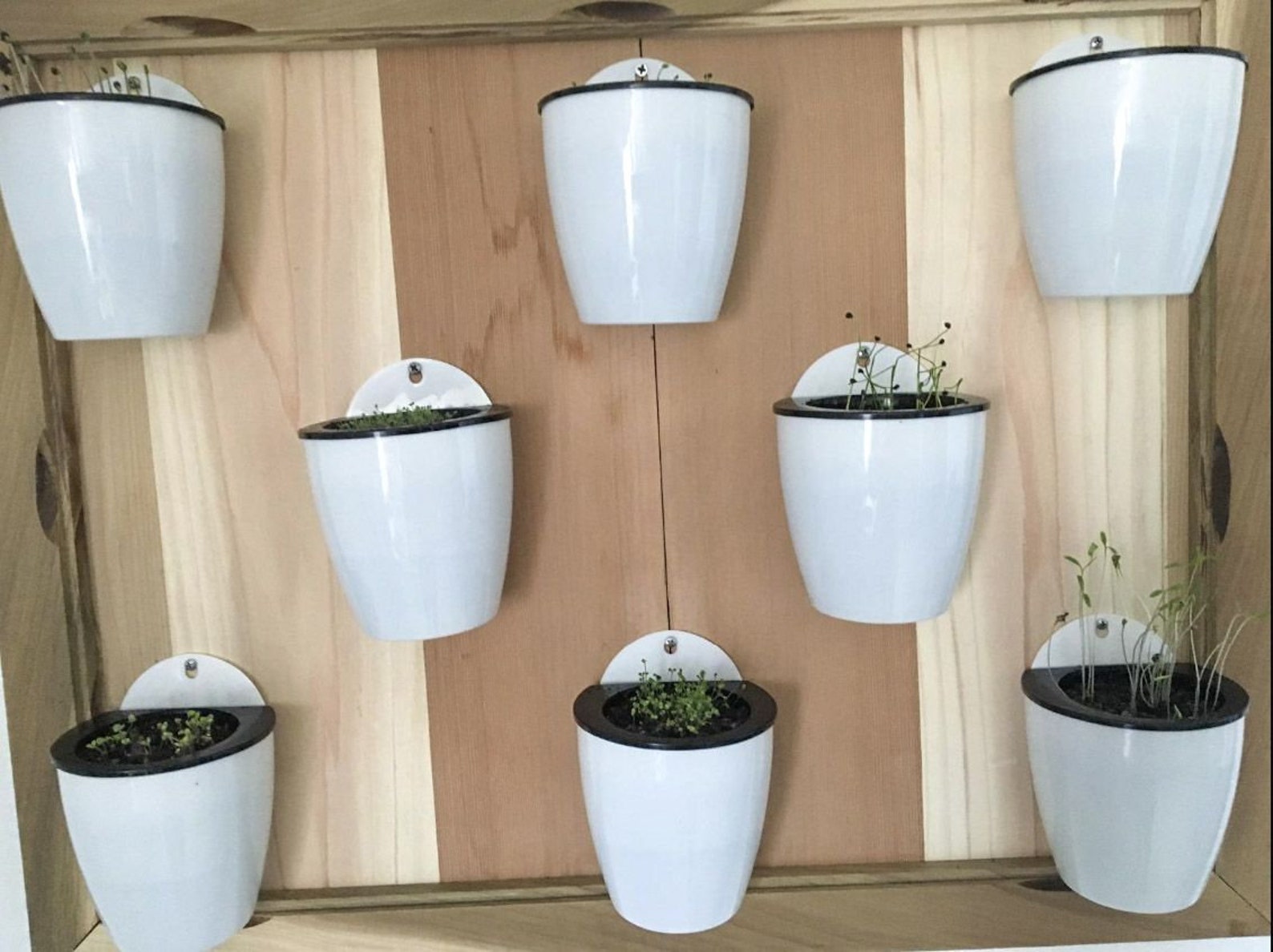 Self Watering Wall Planter Indoor Wall Hanging Planter Wall Etsy