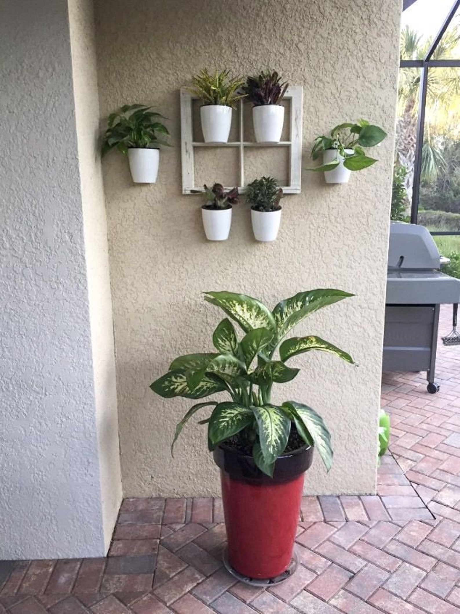 Self Watering Wall Planter Indoor Wall Hanging Planter Wall Etsy