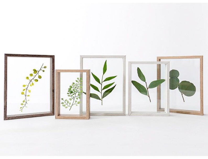 Gepresste Blumen Bilderrahmen: Ein Rahmen für deine Kreativität!