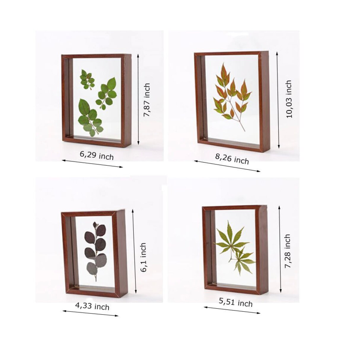 Pressed Flowers Herbarium Frame Frame for Pressed Flowers Etsy