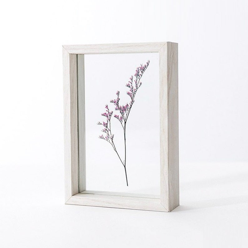 Herbarium Frame for Pressed Flowers Specimen Holder Photo Etsy
