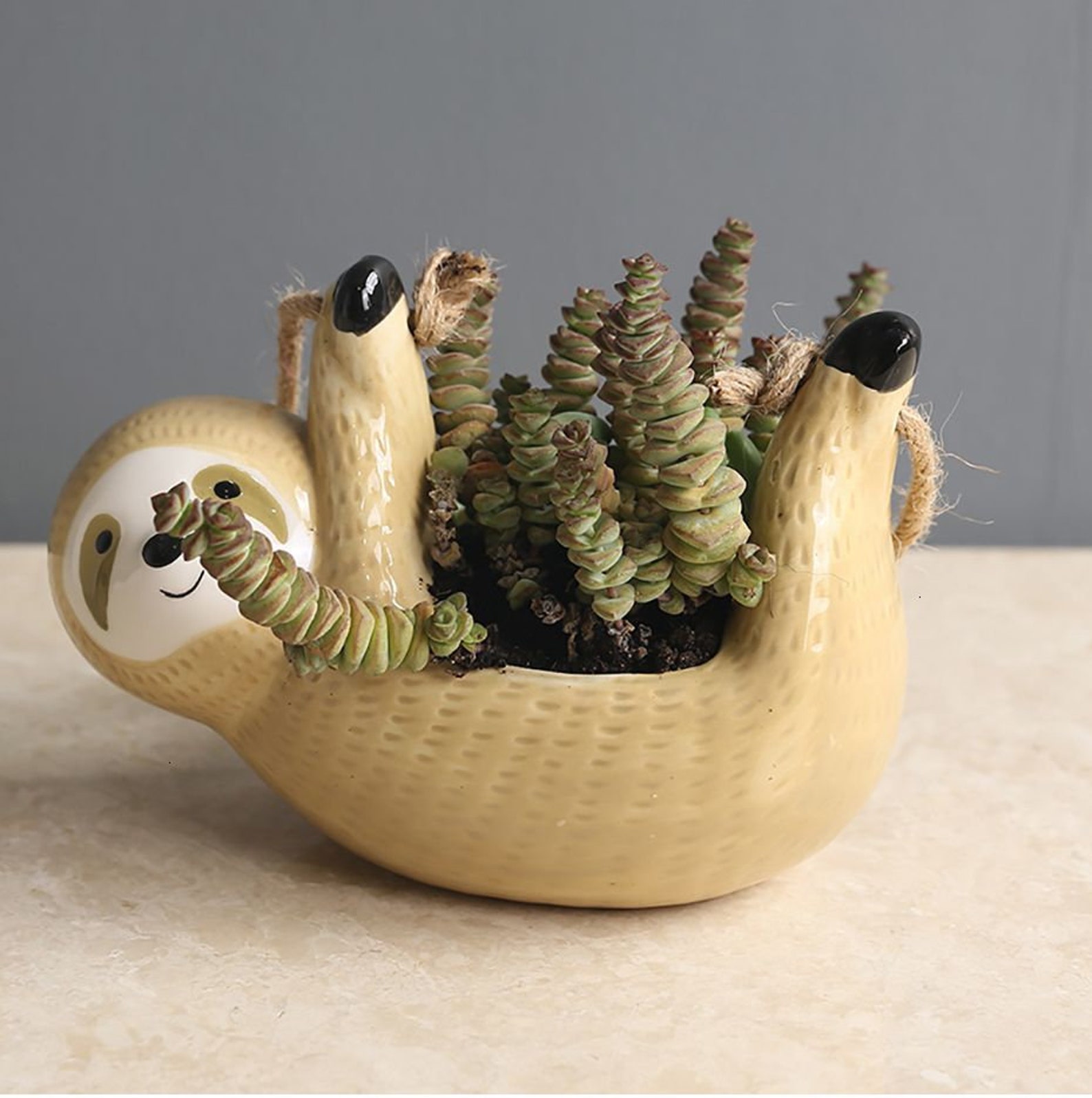 Sloth Hanging Planter Indoor Ceramic Planter Air Plant Etsy