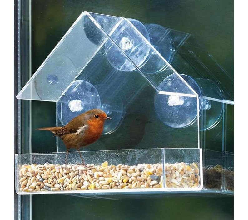 Small Window Bird Feeder Hanging Bird Feeder Acrylic Glass Etsy