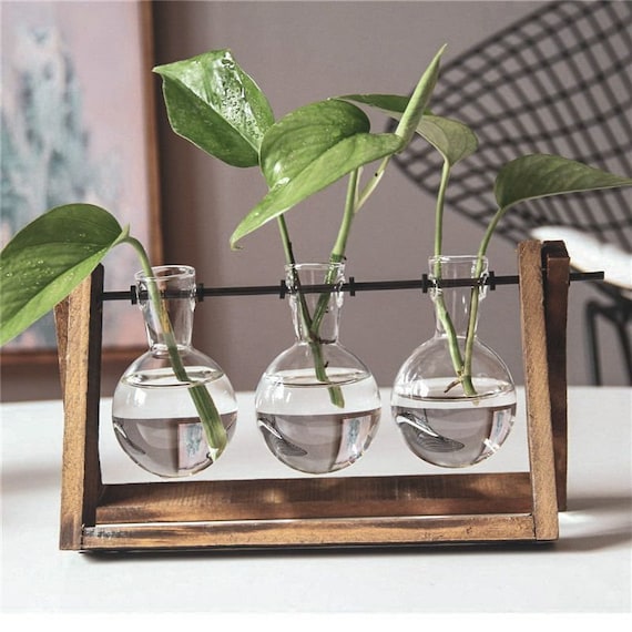 Wooden Plant Stand With Hydroponic Vase Glass Planter Water Etsy