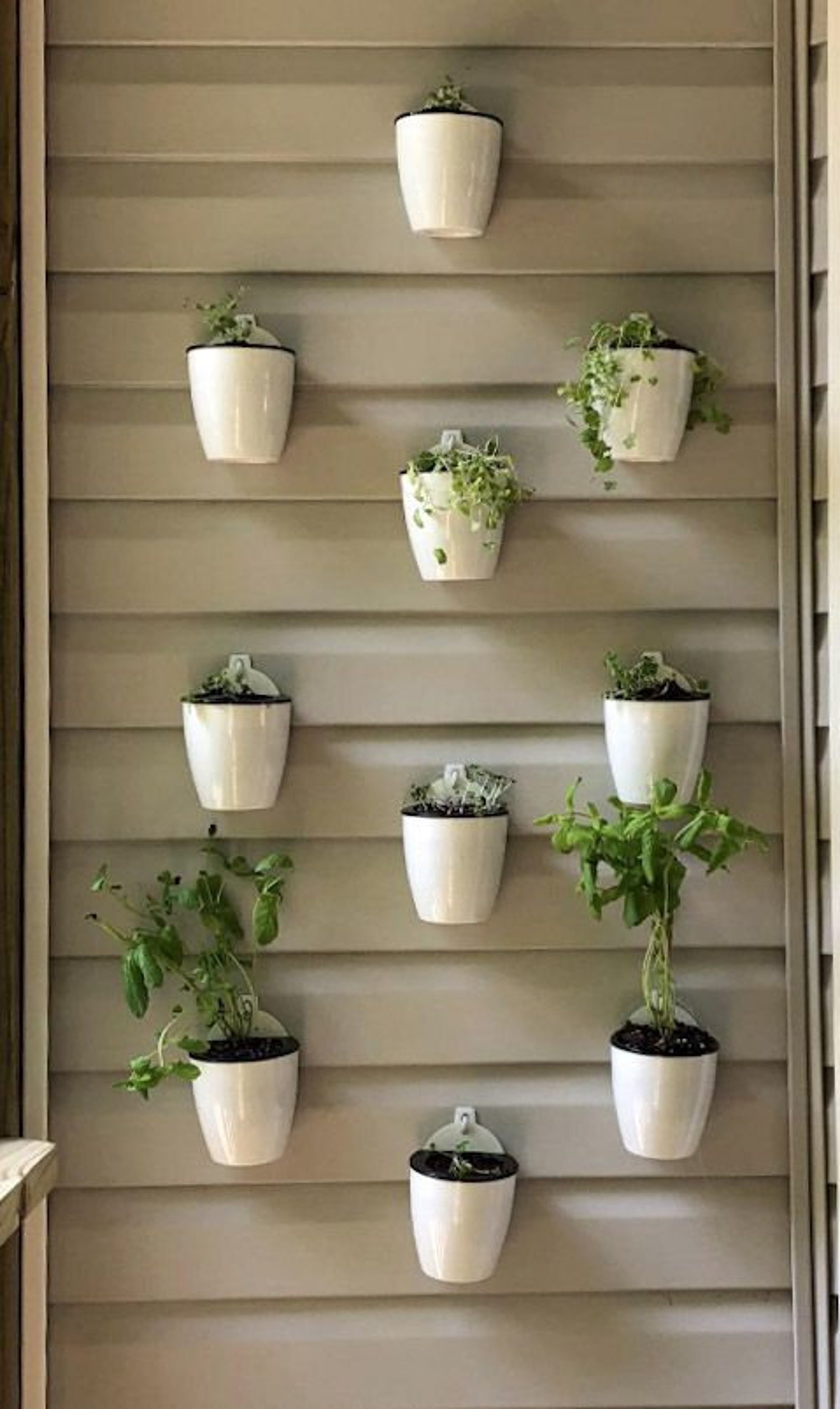 Self Watering Wall Planter Indoor Wall Hanging Planter Wall Etsy