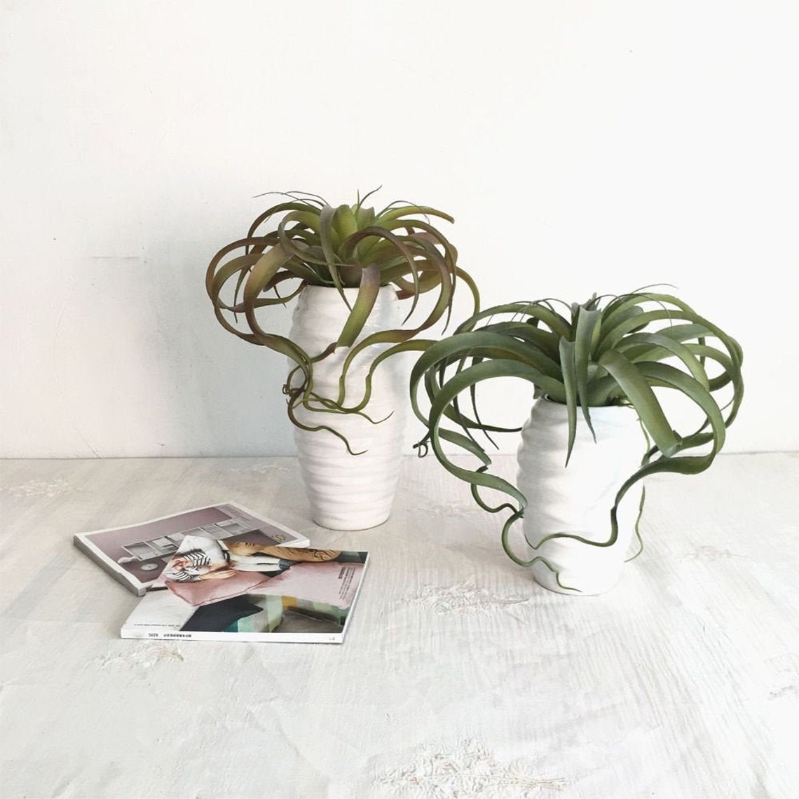 Large Faux Tillandsia Artificial Air Plants Artificial Etsy