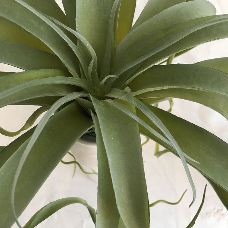Large Faux Tillandsia Artificial Air Plants Artificial Etsy