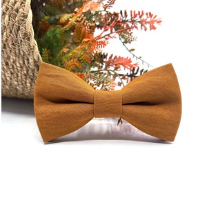 Rost-Orange Fliege, Rost Hochzeit Fliege, Terrakotta Groomsmen Fliege, Herbst Hochzeit Fliege, Boho Bräutigam Hochzeit Krawatte