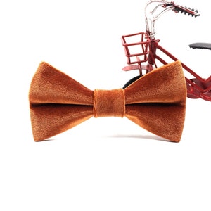Amber Velvet bow tie  Amber bow tie  Groomsman Gift  Wedding bow tie  Ring bearer bow tie  Gift for dad  Gift for him