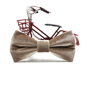 Beige Velvet bowtie  velvet bowtie  Groomsman Gift  Wedding bowtie  Ring bearer bowtie  Gift for dad  Gift for him / Beige bow tie
