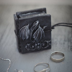Op de afbeelding: Een zwarte doos met een zilveren drakenontwerp, een zilveren ketting met een hanger en twee zilveren ringen. De doos is gesloten en heeft een koord eraan.