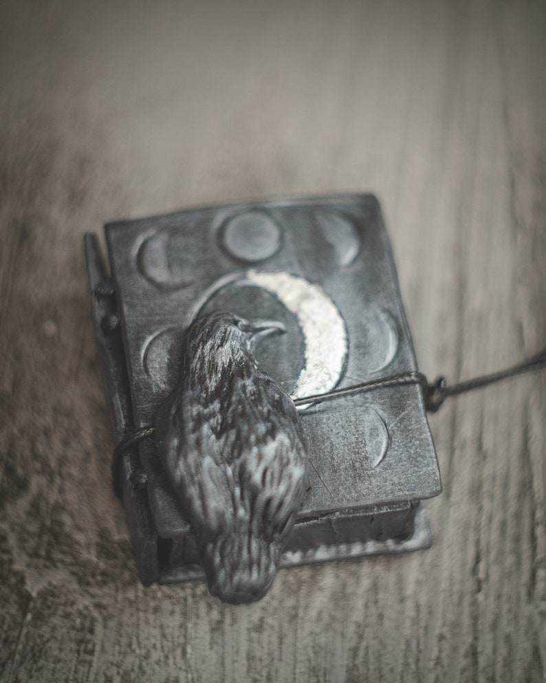 May include: A black leather journal with a silver crescent moon and a black raven on the cover. The journal has a string closure.