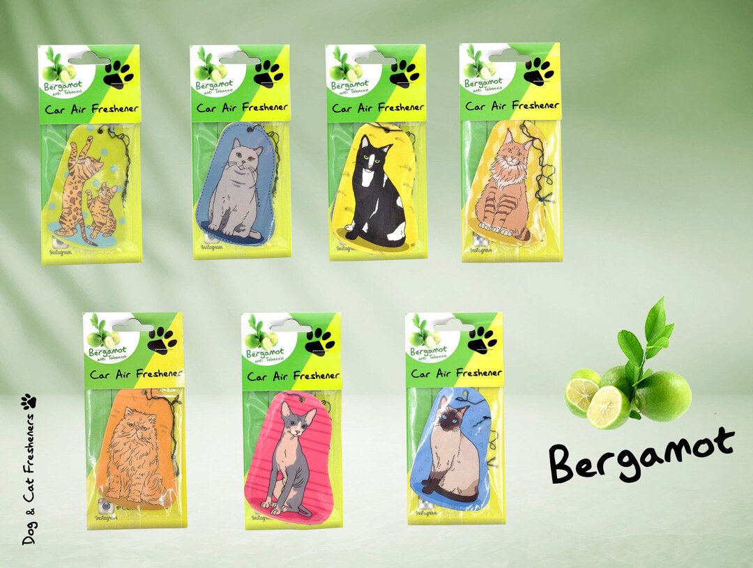 Cat Air Fresheners From Cat Fresheners Car Scent Car Air Etsy