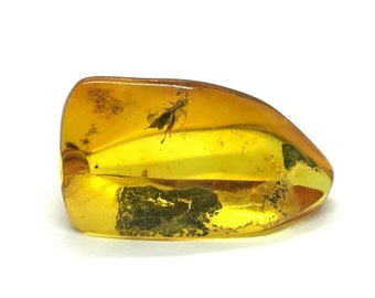 Amber Piece NATURAL BALTIC AMBER Piece with Insect Inclusion Fossil Insects Gift 10,6g 13843