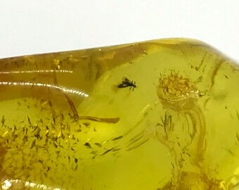 Amber Piece NATURAL BALTIC AMBER Piece with Insect Inclusion Fossil Insects Gift 10,6g 13843