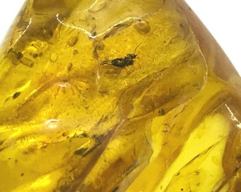 Amber Piece NATURAL BALTIC AMBER Piece with Insect Inclusion Fossil Insects Gift 10,6g 13843