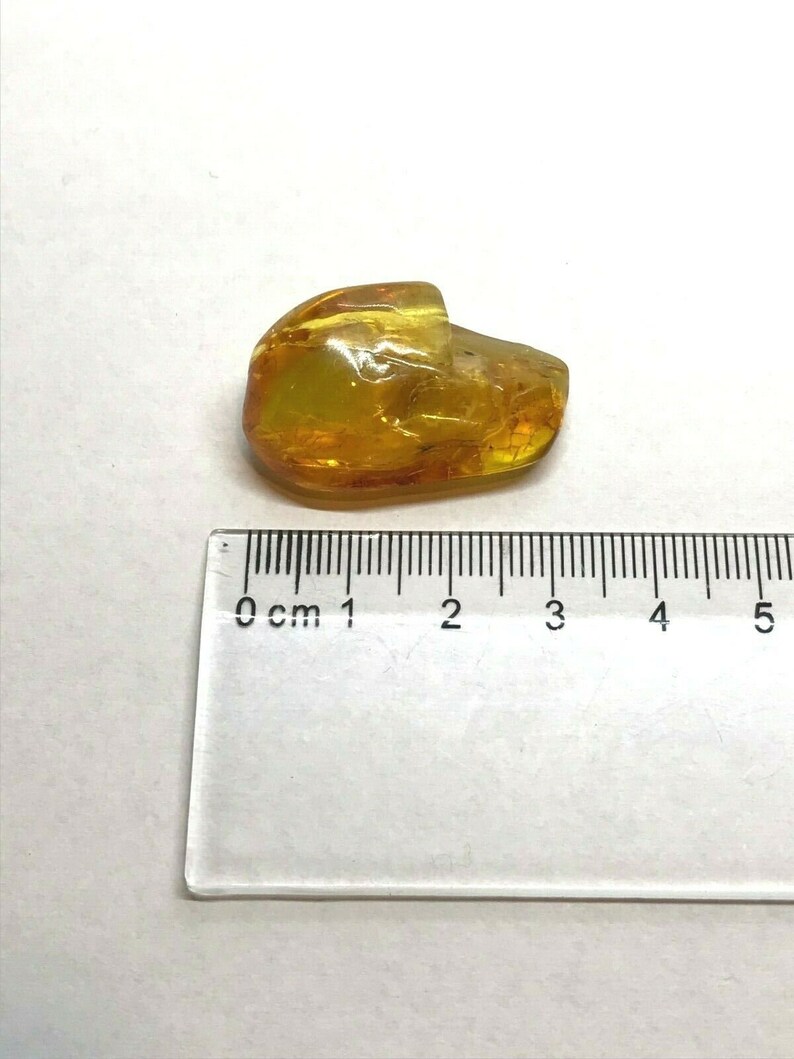 Amber Piece With Insect Inclusion Fossil inside Genuine Natural Baltic Amber piece Insects 3,8g 4219