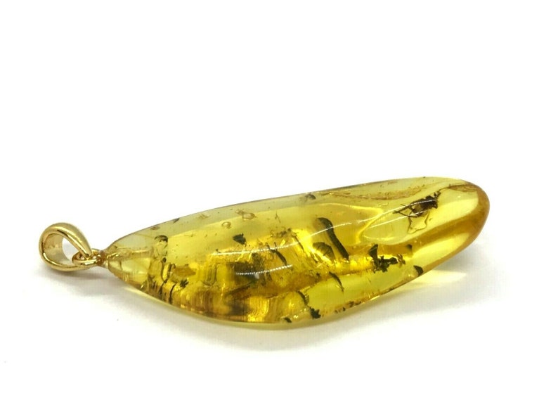 Real Natural Baltic Amber Pendant With Insect Inclusion Drop SilverGP 4,3g 6818
