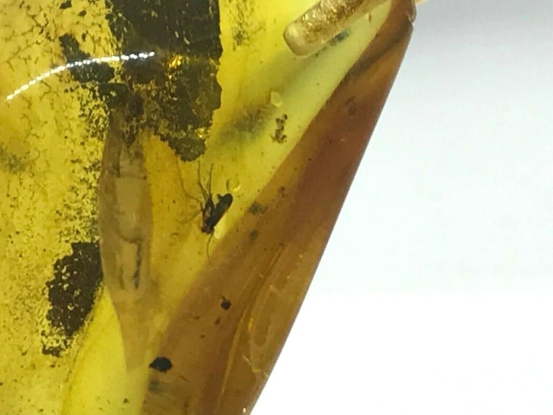 Real Natural Baltic Amber Pendant With Insect Inclusion Drop Silver 925 Gold Plated 5g 6097