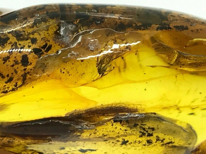 Natural Baltic Amber Pendant With Insect Inclusion Silver Gold Plated 10,6g 7310