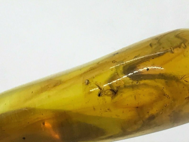 2 Insects Natural Baltic Amber Pendant With Insect Inclusion Silver Gold Plated 4,7g 5201