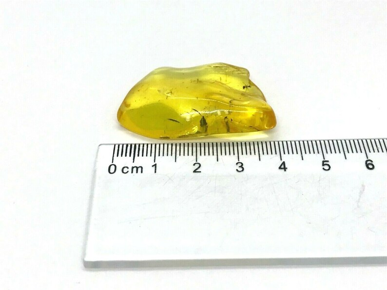 Amber Piece with Insect Inclusion Fossil inside Genuine Natural Baltic Amber piece insects 4,8gr 5962