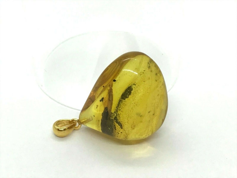 Real Natural Baltic Amber Pendant With Insect Inclusion Drop Silver 925 Gold Plated 5g 6097