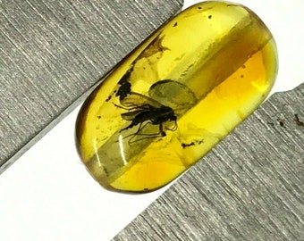 Natural Baltic AMBER Barrel Bead with INSECT DRILLED For Prayer Bracelet Necklace Jewelry 1gr 14614