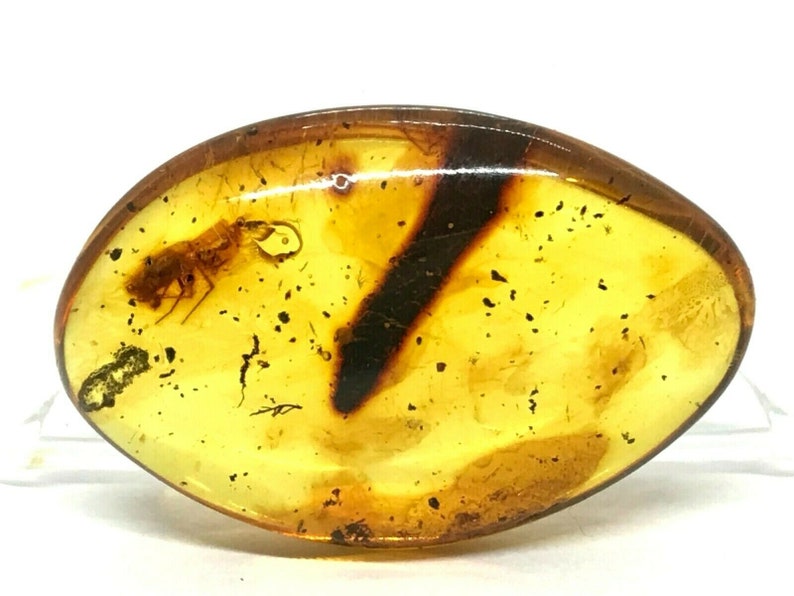 Natural Baltic AMBER Barrel Bead with INSECT DRILLED For Prayer Bracelet Necklace Jewelry 1gr 14614