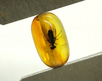 Natural Baltic AMBER Barrel Bead with INSECT DRILLED For Prayer Bracelet Necklace Jewelry 1gr 14614