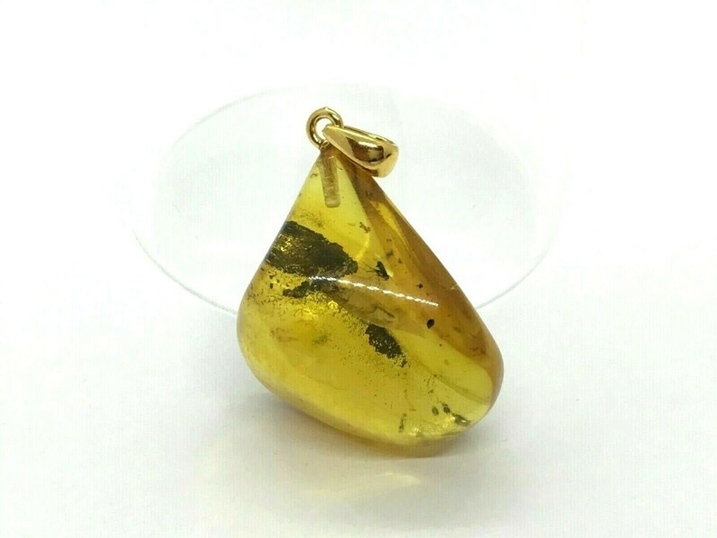 Real Natural Baltic Amber Pendant With Insect Inclusion Drop Silver 925 Gold Plated 5g 6097