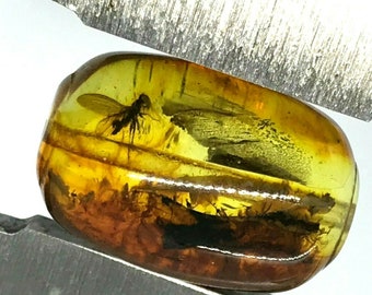 Natural Baltic AMBER Barrel Bead with INSECT DRILLED For Prayer Bracelet Necklace Jewelry 1gr 14614