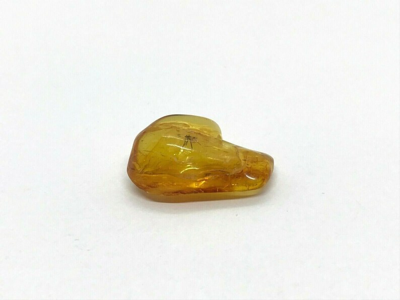 Amber Piece With Insect Inclusion Fossil inside Genuine Natural Baltic Amber piece Insects 3,8g 4219