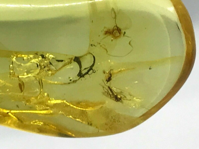 2 Insects Natural Baltic Amber Pendant With Insect Inclusion Silver GP 5 g #5117