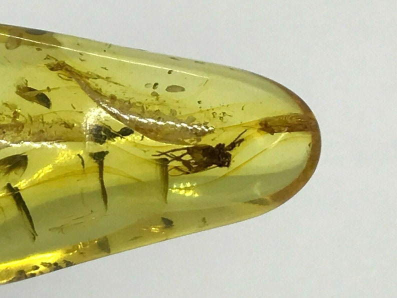 Real Natural Baltic Amber Pendant With Insect Inclusion Drop SilverGP 4,3g 6818