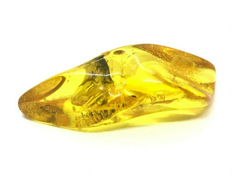 Amber Piece NATURAL BALTIC AMBER Piece with Insect Inclusion Fossil Insects Gift 10,6g 13843