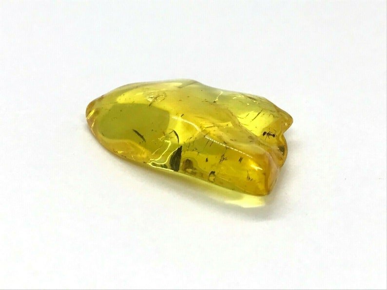 Amber Piece with Insect Inclusion Fossil inside Genuine Natural Baltic Amber piece insects 4,8gr 5962