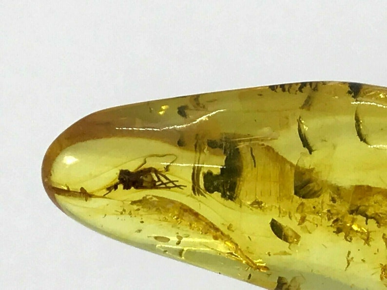 Real Natural Baltic Amber Pendant With Insect Inclusion Drop SilverGP 4,3g 6818