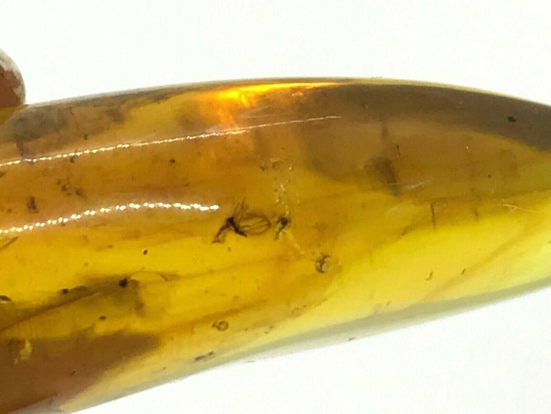 2 Insects Natural Baltic Amber Pendant With Insect Inclusion Silver Gold Plated 4,7g 5201
